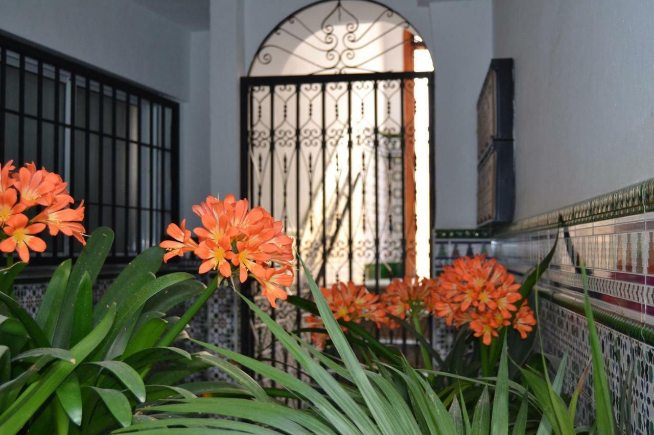 Nuevo Sueno Del Alcazar * Cordoba
