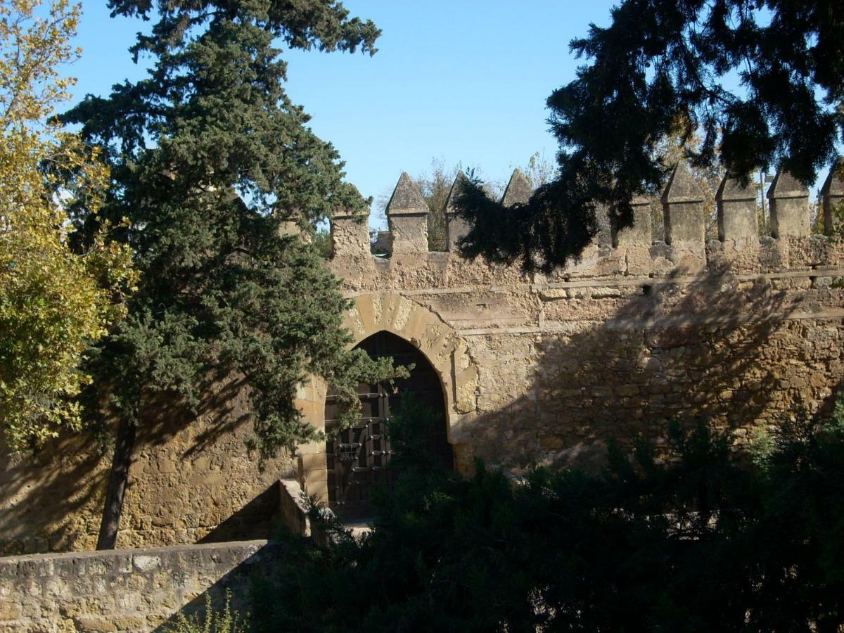 Nuevo Sueno Del Alcazar
