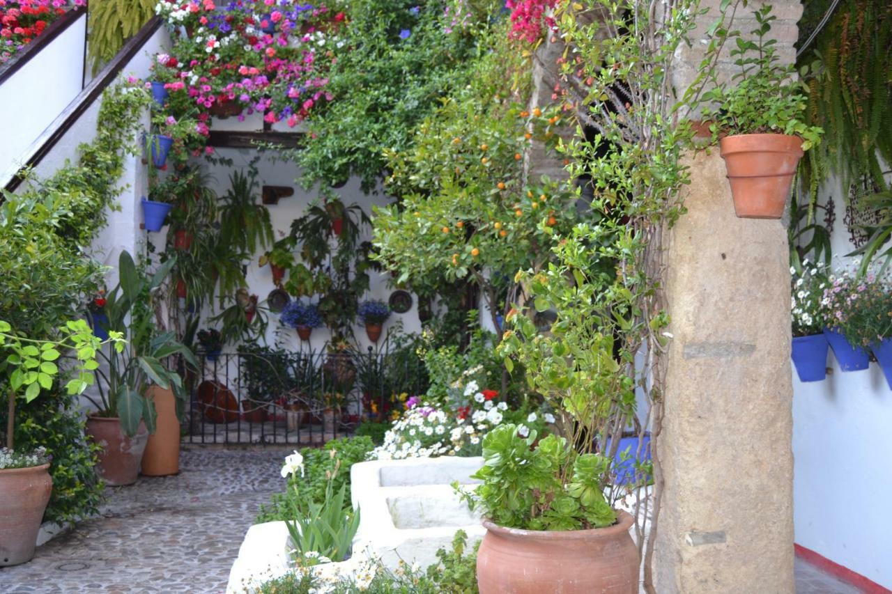 Apartamento Nuevo Sueño Del Alcazar