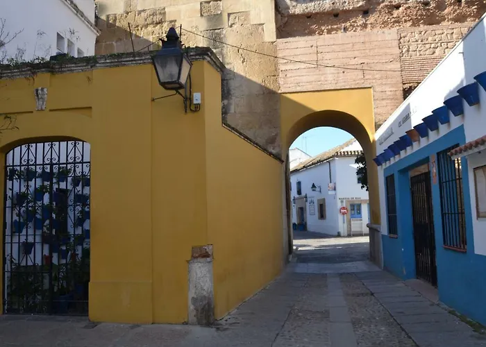 Nuevo Sueno Del Alcazar