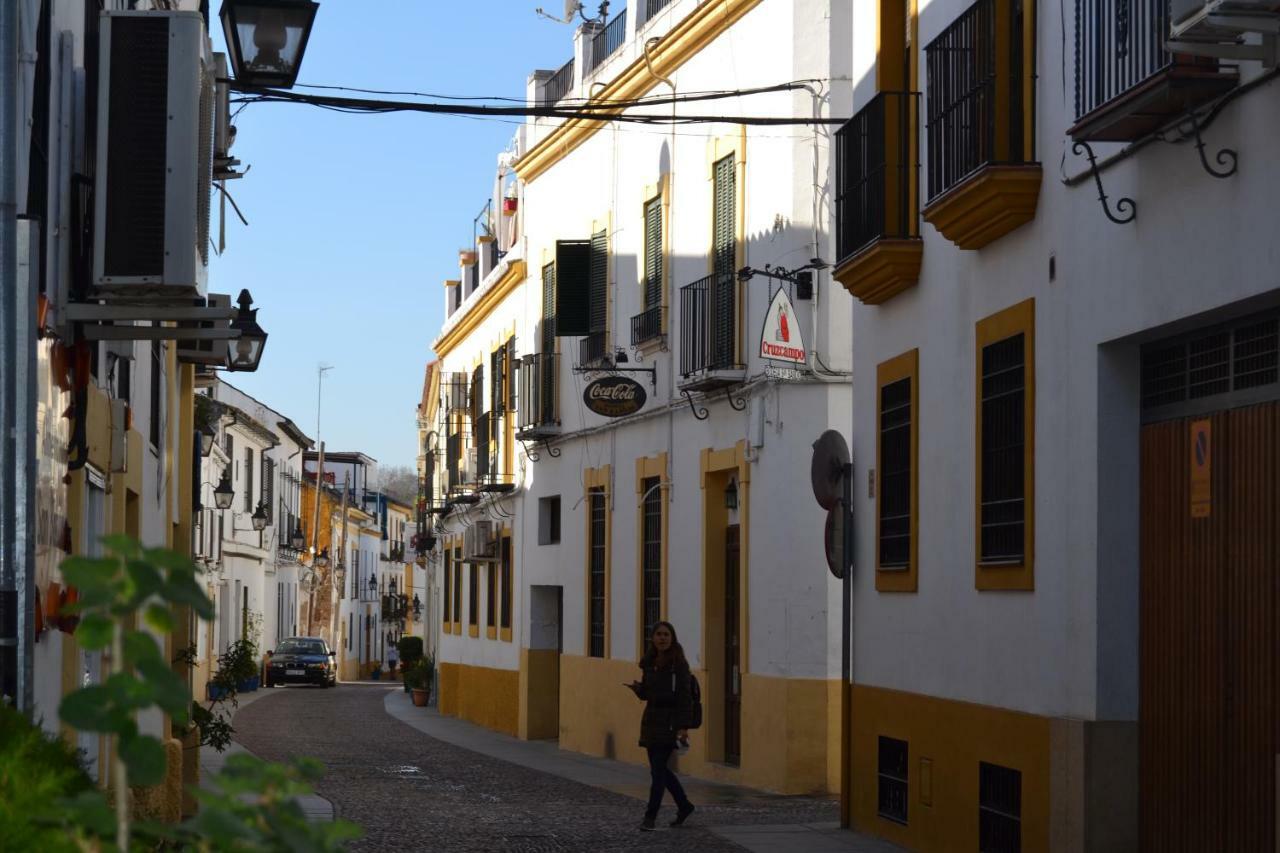 Nuevo Sueno Del Alcazar *