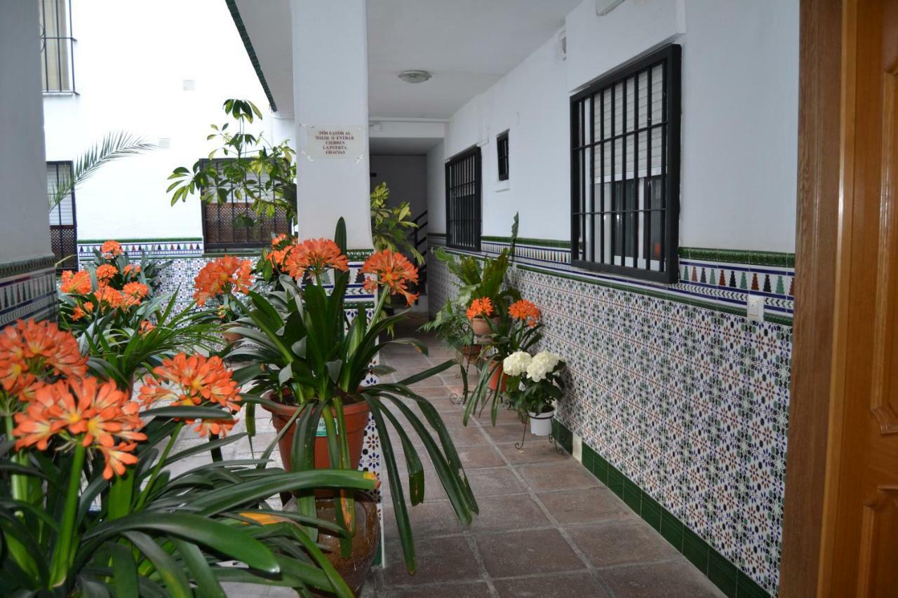 Nuevo Sueno Del Alcazar * Cordoue