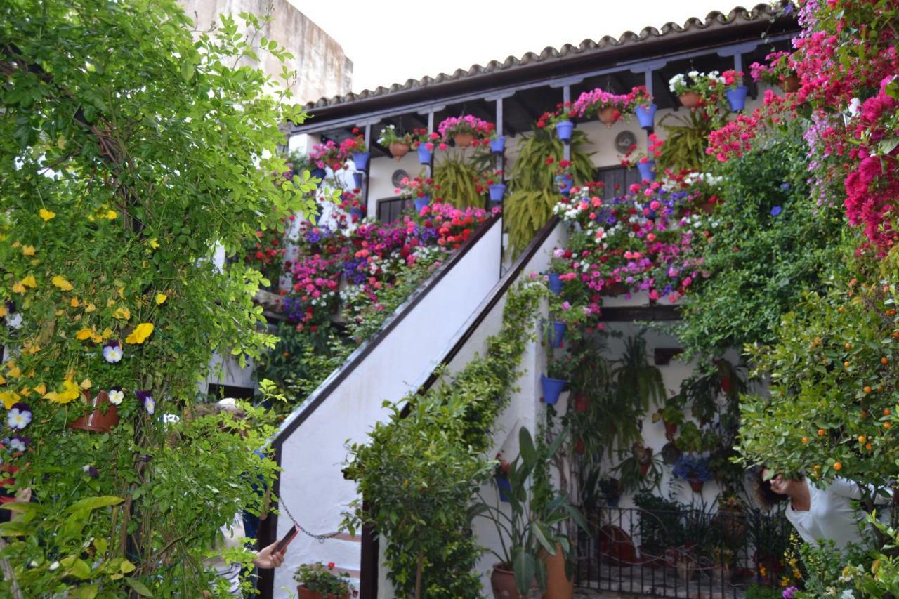 Nuevo Sueno Del Alcazar Appartement