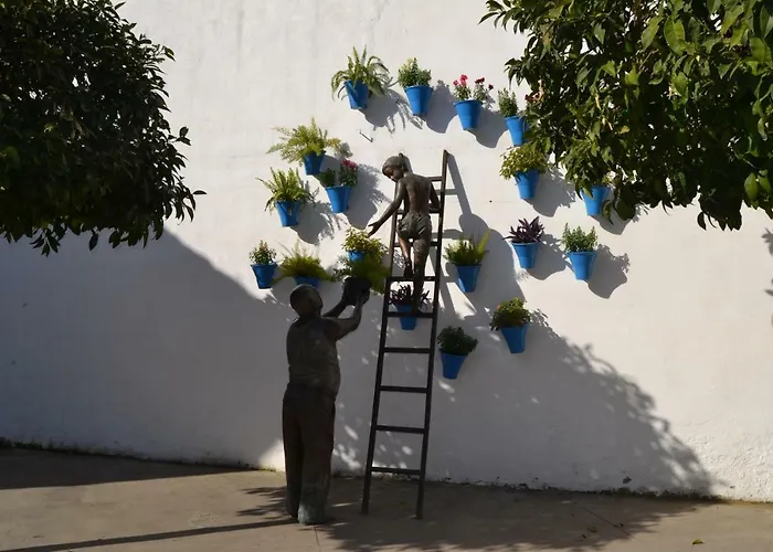 Nuevo Sueno Del Alcazar